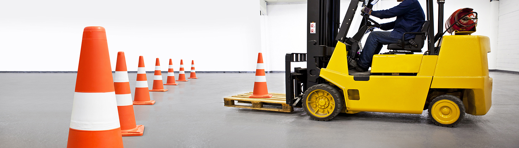 PRO Skills Development, your dynamic training company